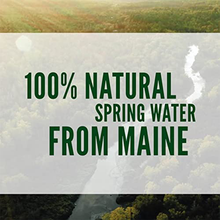Poland Spring 100% Natural Premium Spring Water - 8 Fl Oz Bottles | Pack of 15