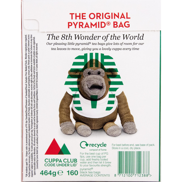 PG tips Original 160 Pyramid Tea bags.