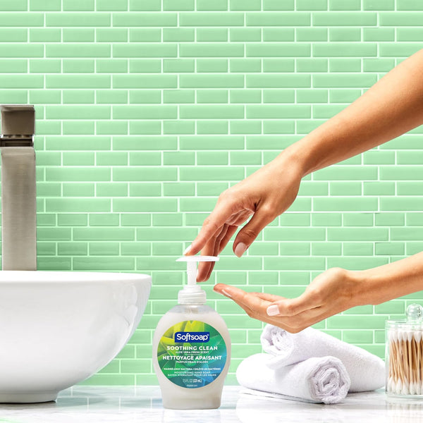 Softsoap Moisturizing Liquid Hand Soap, Soothing Clean Aloe Vera, 7.5 fl oz (Pack of 6) – Gentle & Refreshing Hand Wash