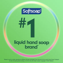 Softsoap Moisturizing Liquid Hand Soap, Soothing Clean Aloe Vera, 7.5 fl oz (Pack of 6) – Gentle & Refreshing Hand Wash