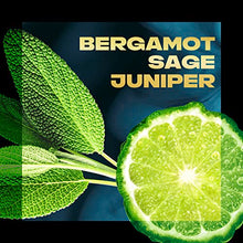 Bergamot, sage, and juniper with a sliced lime on a dark background