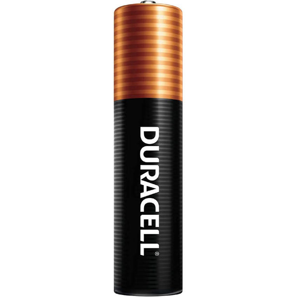 Duracell CopperTop AA Alkaline Batteries - Long Lasting, All-Purpose Double A Battery for Household and Business 40 Count