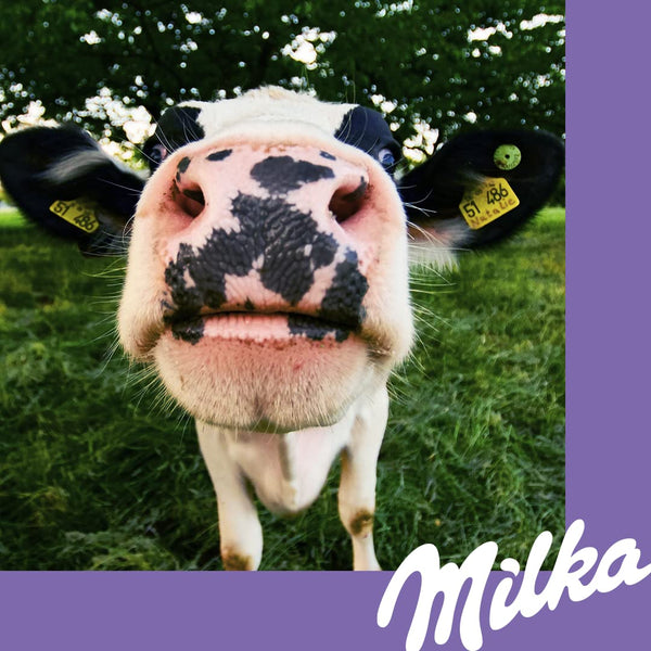 Milka White Chocolate Bar 100g | 100% Alpine Milk, Imported