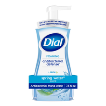 Dial Foaming Antibacterial Hand Wash Spring Water + Aloe 7.5 fl oz