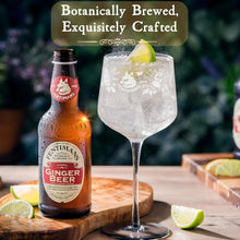 Fentimans Ginger Beer, Boissons gazeuses artisanales infusées botaniquement, Boissons pétillantes naturellement aromatisées, 1,1 L, Lot de 4