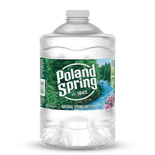 Eau de Source Poland Spring Maine – Eau de Source Naturelle Plate avec Minéraux Naturellement Présents pour un Goût Frais, Grande Bouteille 3L