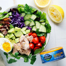Fresh tuna salad bowl with avocado, cherry tomatoes, cucumber, egg and canned albacore tuna