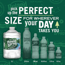 Eau de Source Poland Spring Maine – Eau de Source Naturelle Plate avec Minéraux Naturellement Présents pour un Goût Frais, Grande Bouteille 3L