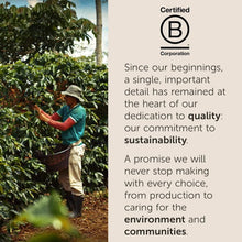 Farmer harvesting coffee cherries in sustainable plantation, Certified B Corporation message
