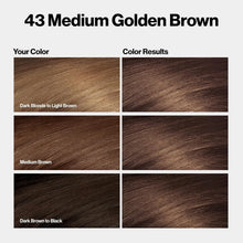 43 Medium Golden Brown hair color chart showing results for dark blonde to black base shades