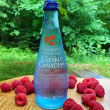 Clearly Canadian Country Raspberry Sparkling Water - 11 oz bottles (Pack of 2)